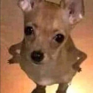 Meet your Posher, Meiping